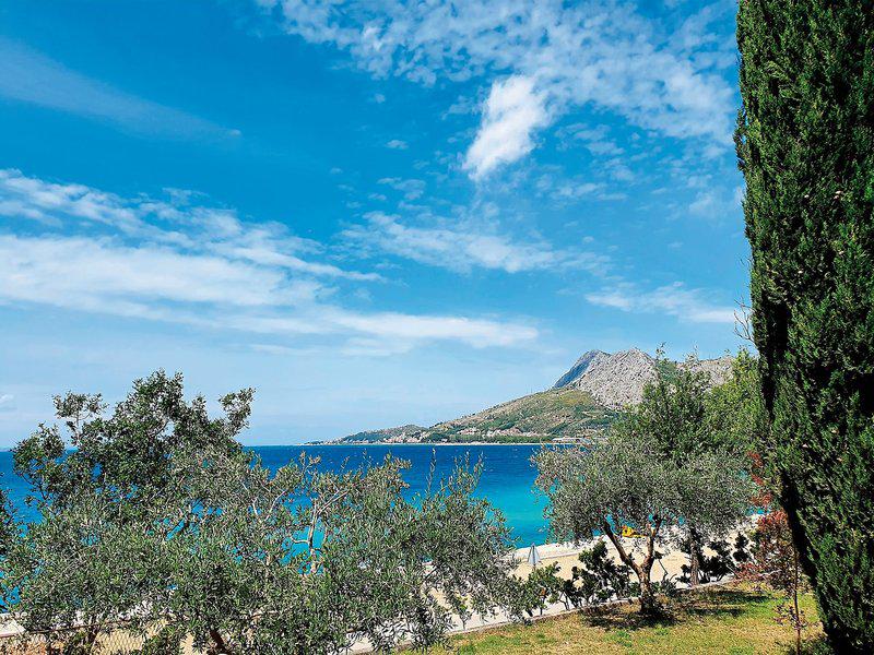 B375A80F93A38392E761EB390A6B06B2