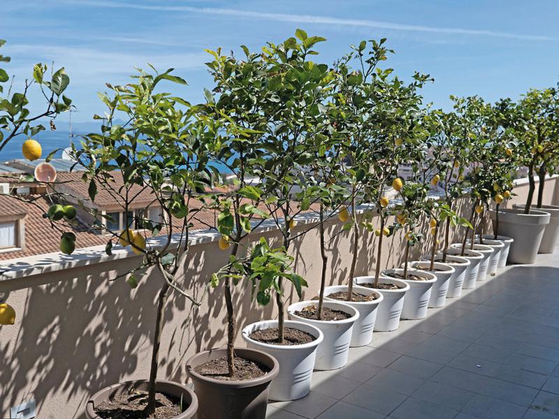 B223AD776F6EF26CDF1A35F5E41B544D