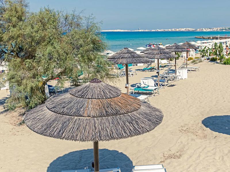 0C4CFAFFA8EDC3726A1FC3136BDEE82C