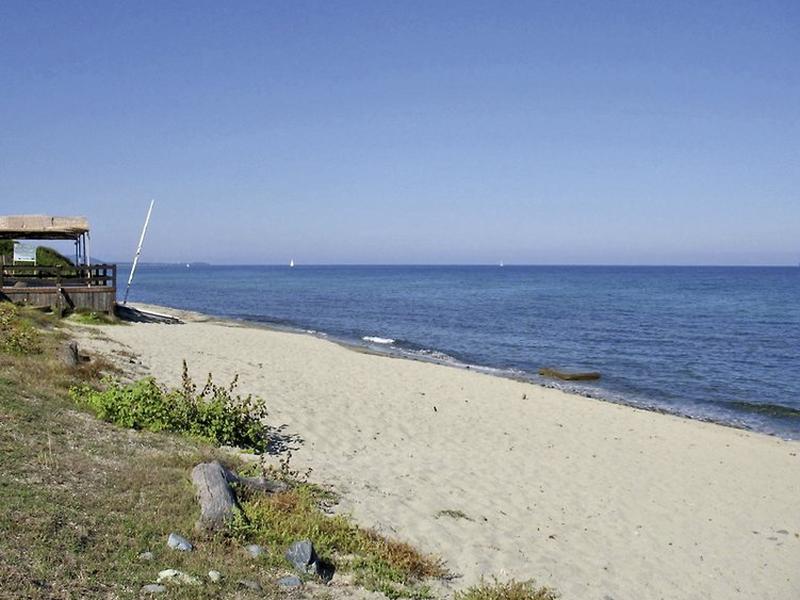 A8732C630599DA42E4797E81521A4009