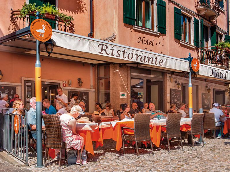 403EA0B434B29F40EE884E2026631116