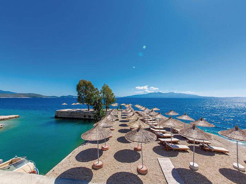 EA43F2E620711A9BDC2BD1451DA8E6D8