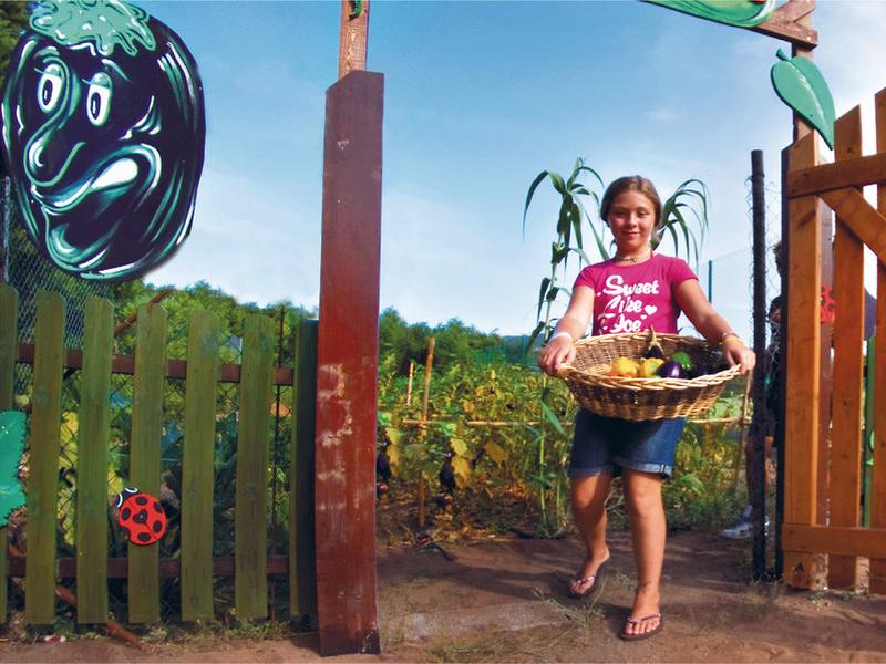 212B987061735C757D0DB386DC8EEBB5