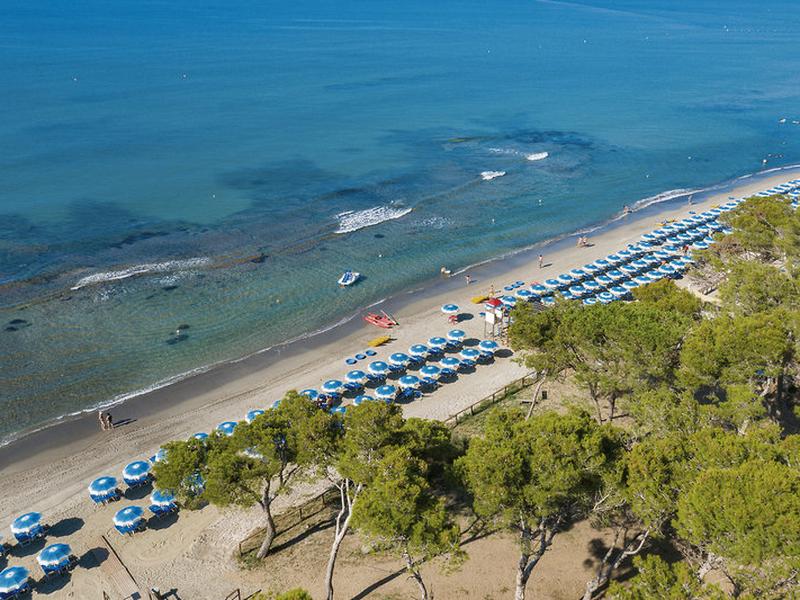 BC39B7502D64FBA74F5C343A4C5B4466