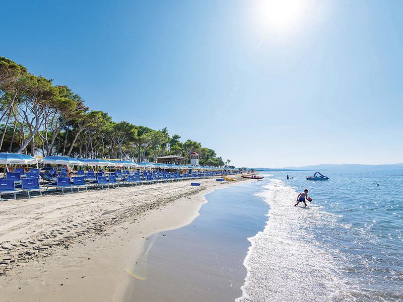 2C2ADAB7A38A18363493A3090780DFAC