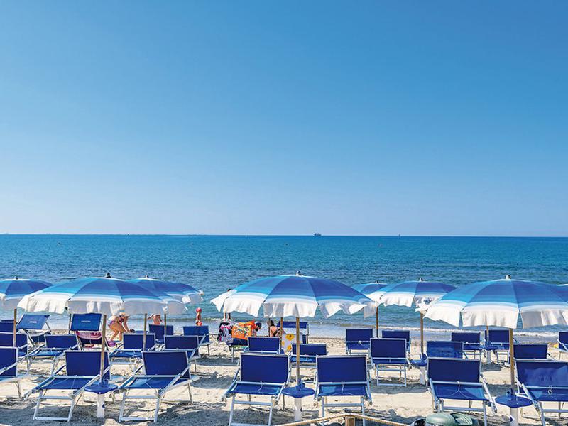 593FED4C80BD5A437628868B87A1A066