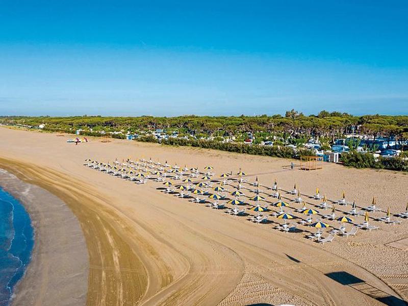 334987ED136B857B358A10F987AAB50A