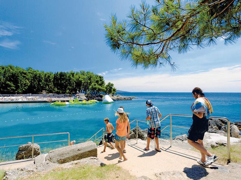 D19C36C43EFD4F26D63C279852216557