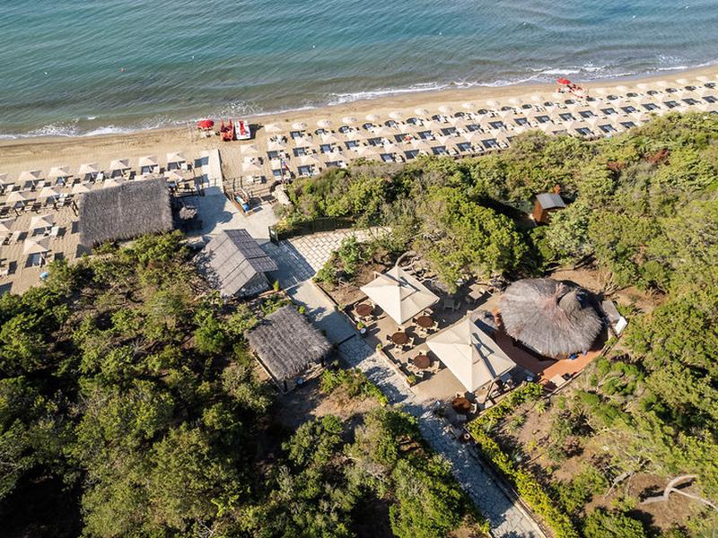 45B2F06839ED5EBF1AA0A7A7D7837549