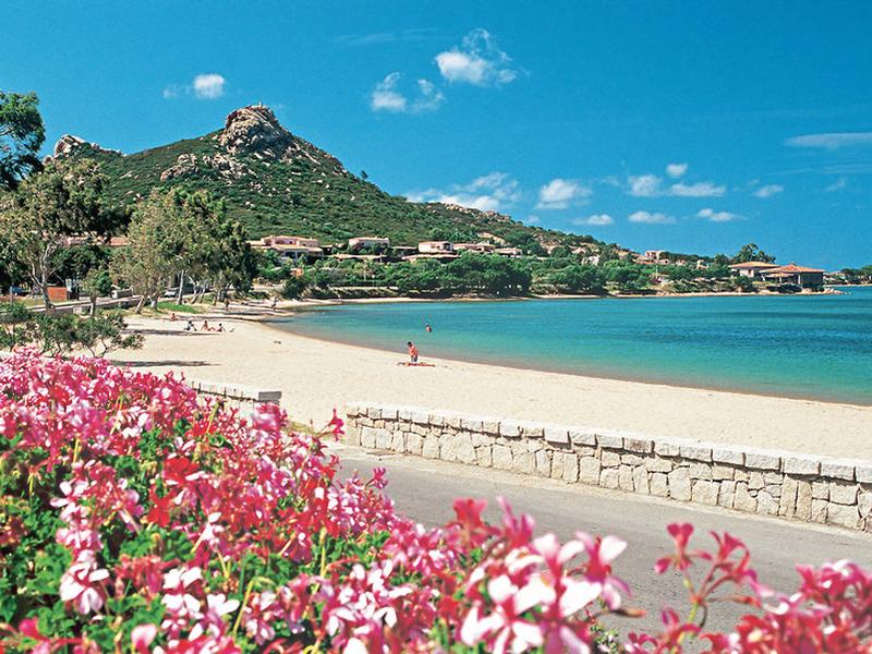 C2083ED43654E826B4F9480DA82E9931