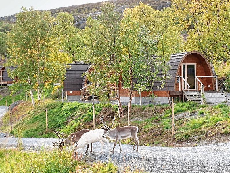 F3EFB8FD00B7CB4558A32F8262665D43