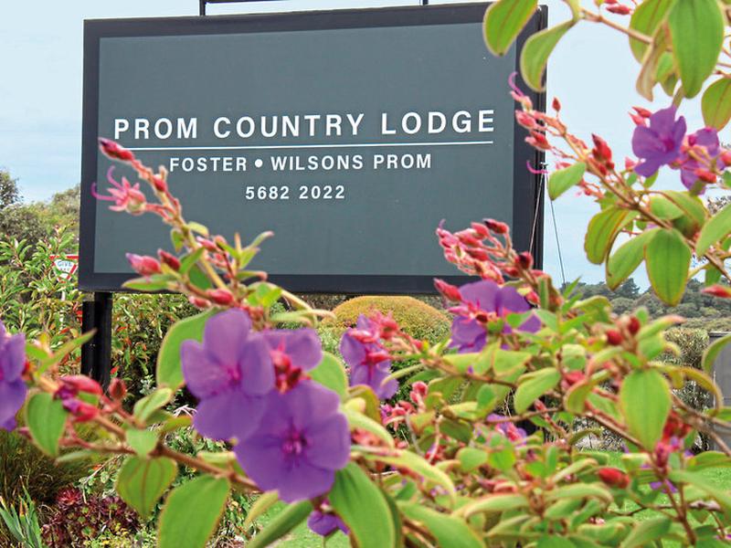 2217306CF67D3E298988BC414469D105