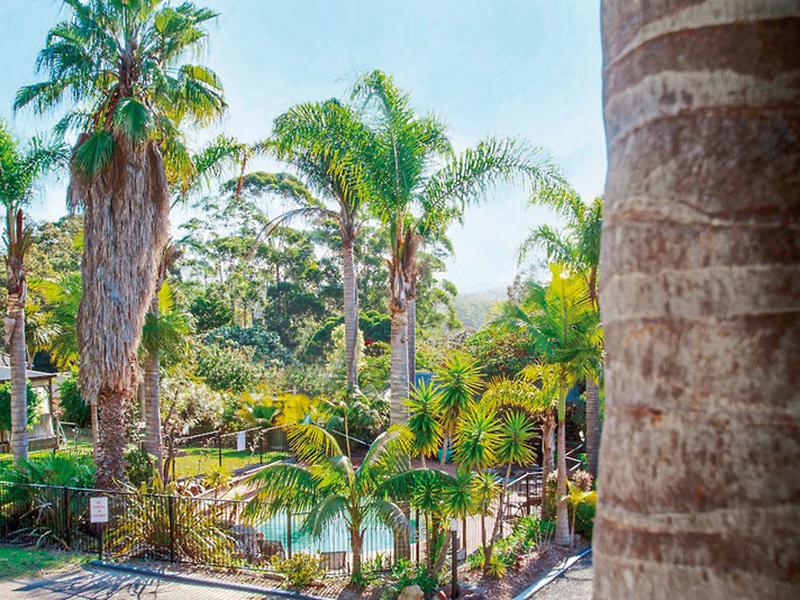 AA81B2A4EBA88E7457CF7C35F8D4717F