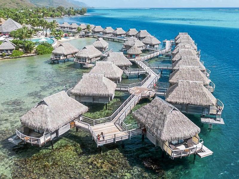 E0F6B29E87325A18892A60798C1AF93E