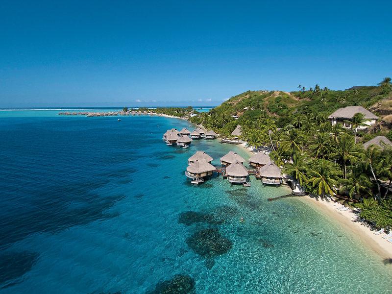 6CE1A65E65EBF57D813DA7FEA256E681