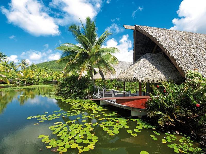 1369A220A44693BED7956FE34CC1A6DF