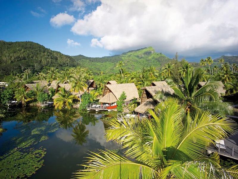 8EFF4C1B1D1938E7B94558391ADB7A45