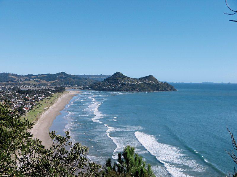 1D3DBE6B55C8E93FCFC5C4F71F5969C8