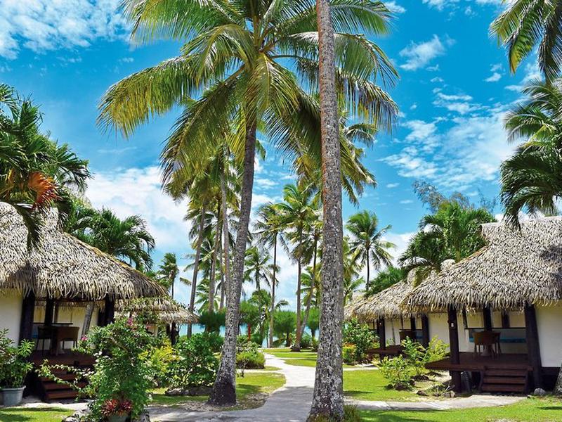 BE97997903F026E4D4F47BCB98A18D88