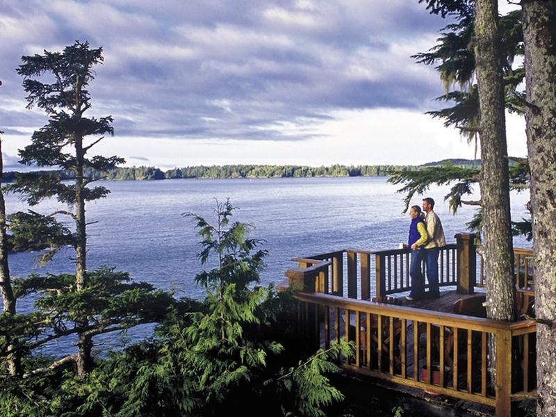 1DC9BC94CB8531A83888CABBAB07749A