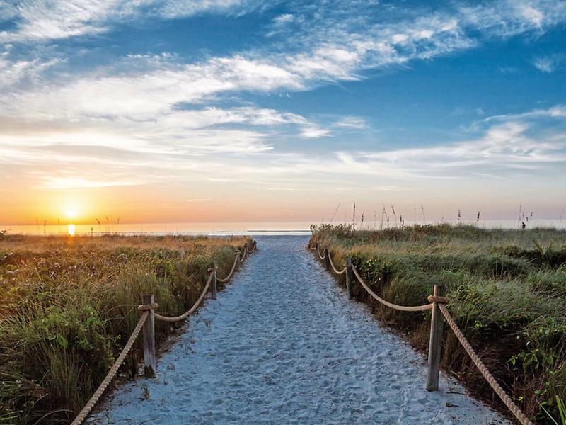 083888CBA33A2BD5F37C2DF14767DE26