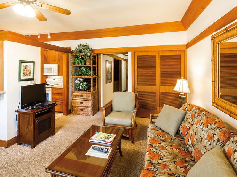 0056F30FE83C2574D0872784CC47A617