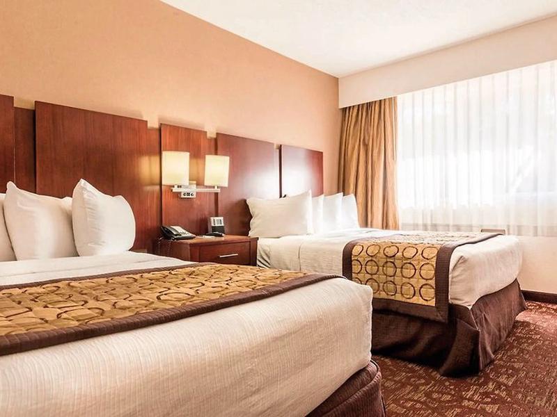 49B23A42ACE18DBDB4AB4056D15FF0B6