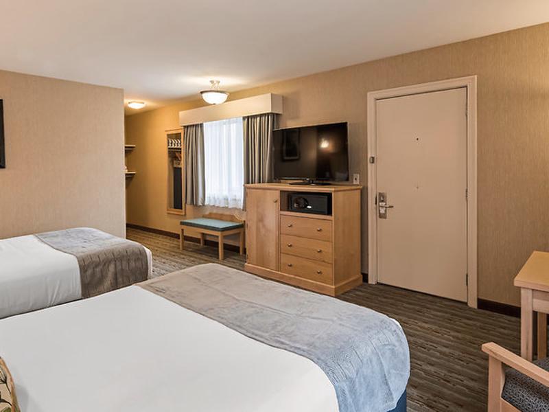 56B0A3972A78D9C5637155BD530F29FE