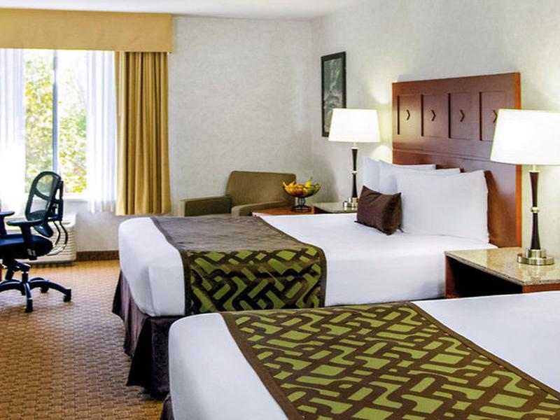 02B884C7CA4A940156307A9973543DD2