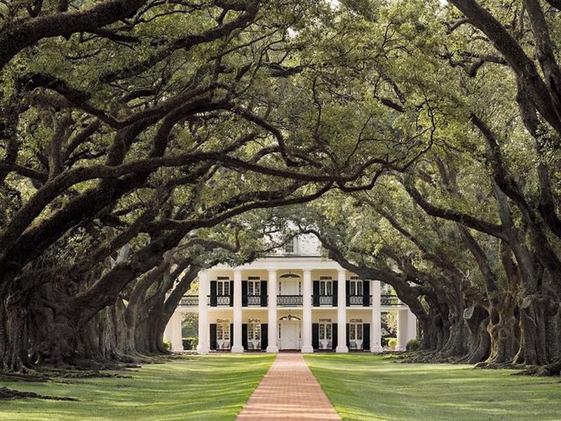 4D6DB664BC9DA7C6542DAAE0AC4B3234