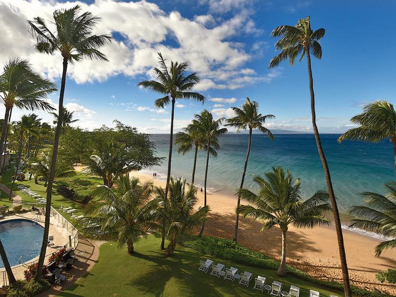 96CD243A4F9DCC6B68F541C31B13A203