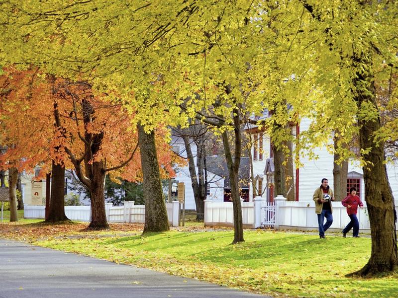 85F3A8A8BF9FE191FB9987012416EA56