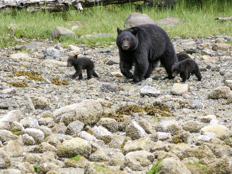 A686F9983DF60FBADBDE97A906226085