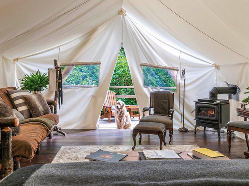 56D3C9C974DF08CC4CBD61097610A15E