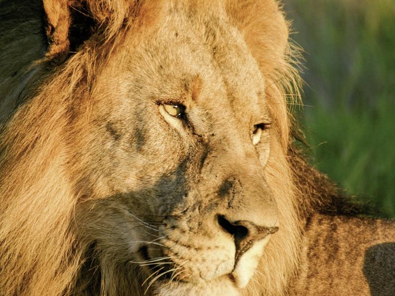 4FD35CEB4EFF427B14F2258DBB13EE63