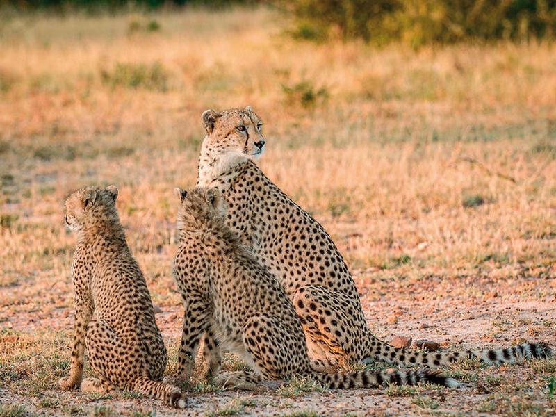 42884DEC926CE753CFE1D21455B16E70