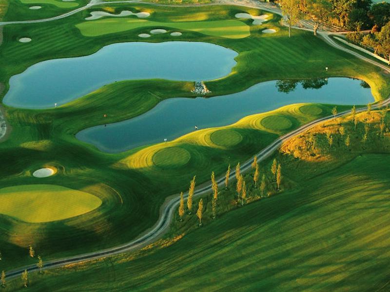 A58AFEA209E7DFDEE674E16CC50C8CE5