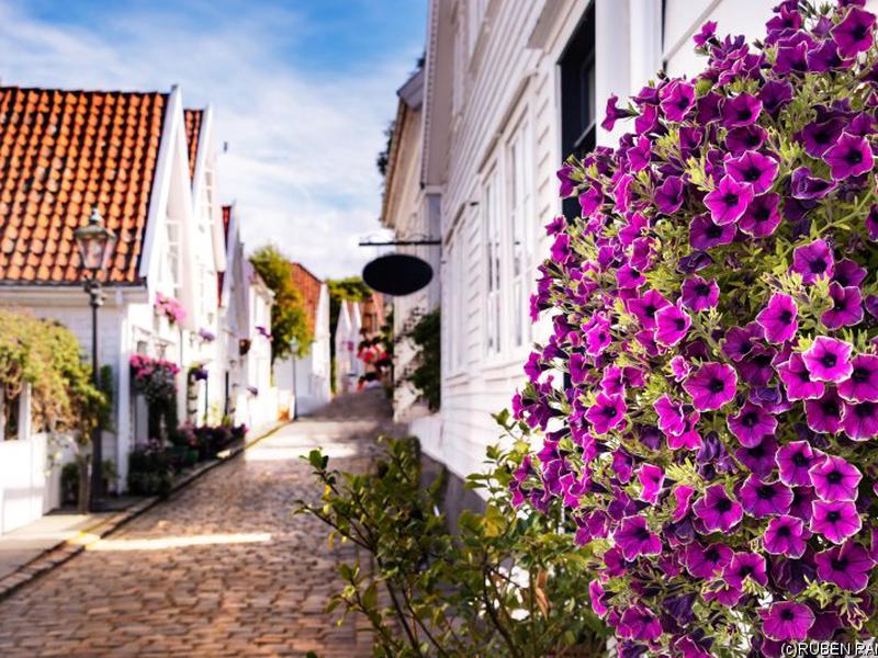 FD33218DA63AAA4E1168FBE664ABAD3C