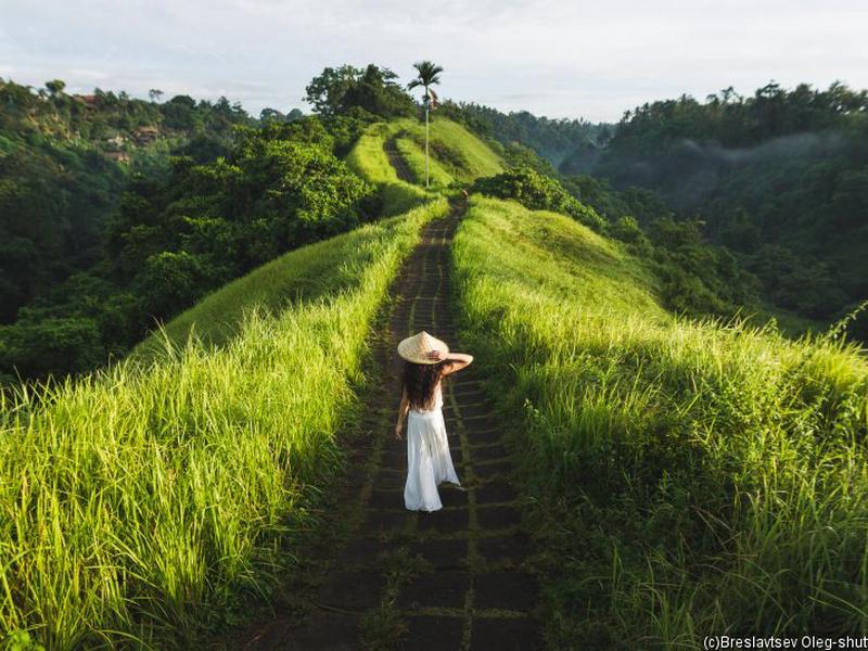 CC2B6B5FDF2E754F8FDD7059E3F3000D