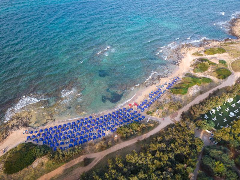 295D23803BF4D9172A02614C85716007