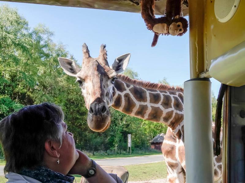 3E47B74D3402652F8DAED746DD5C78E6