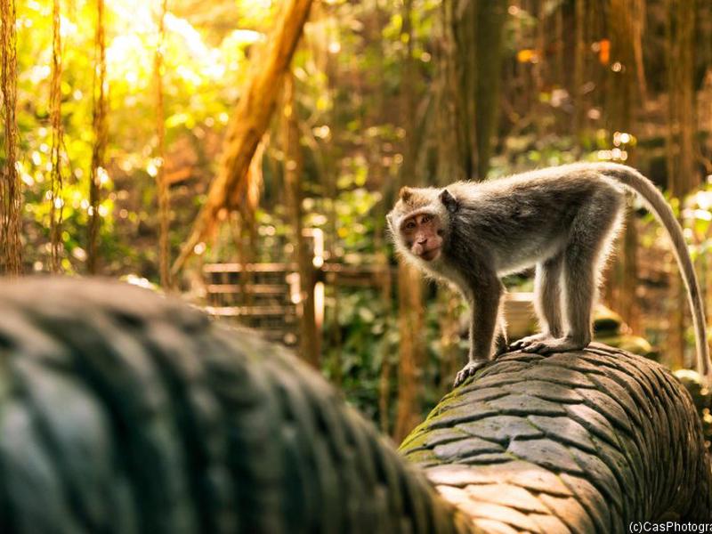 6579D4CE8B9975B3F12440AA7CE9AAB6