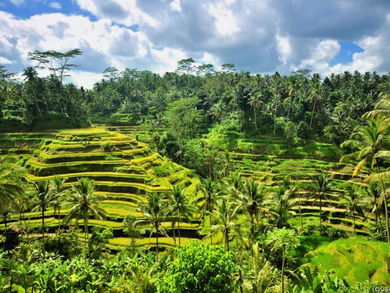 E52673F3B5C5A2A4DFC8D391AF84773D