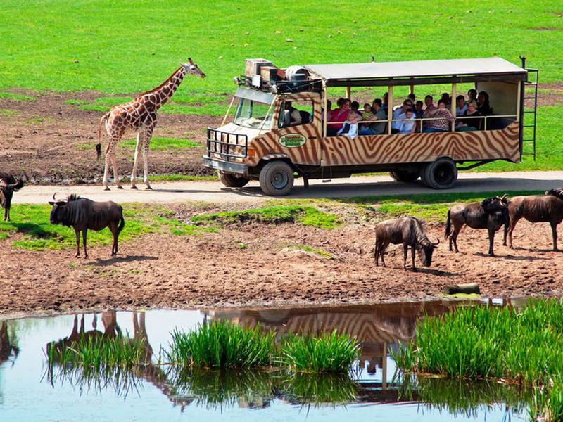 54D3BC00638C3121838982E2B0272307