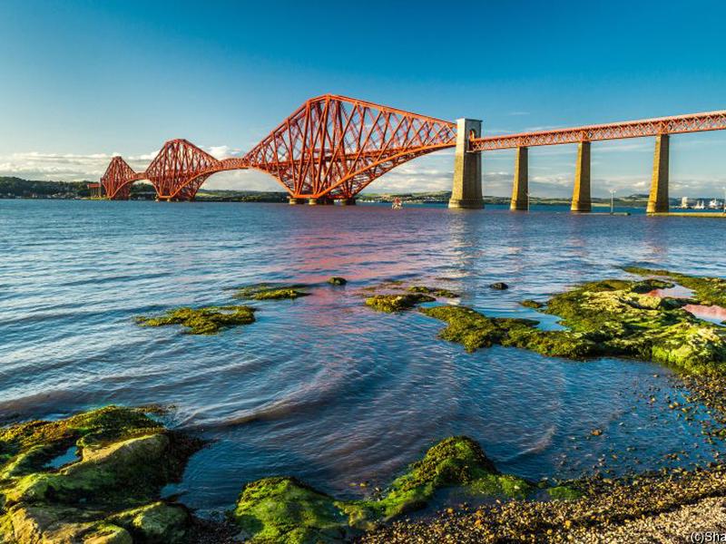 1CE785BEC9C04E5290C320DCBEBF72BD