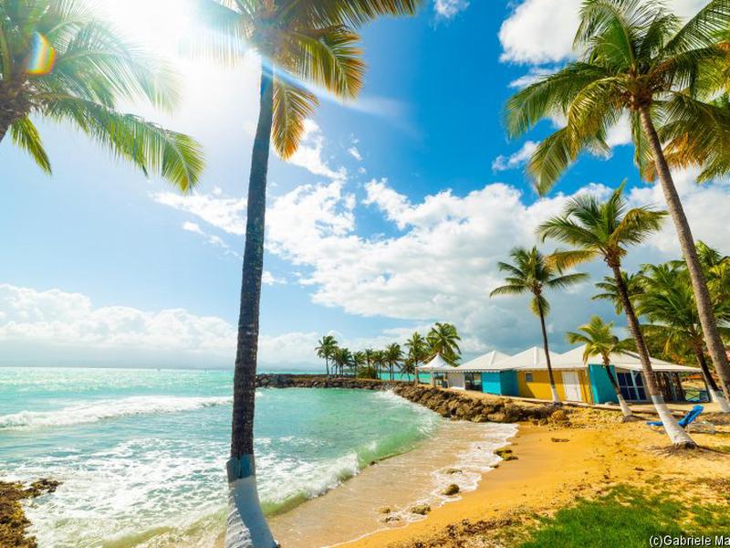 6FC3A6940A988F6392345A0FD0C493E5