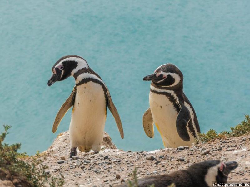 C7E7754CCD5AF0826E8E23B829DD079D