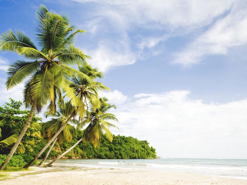 D19B7FCB5C7EAD6A8A62949866C3DEAD