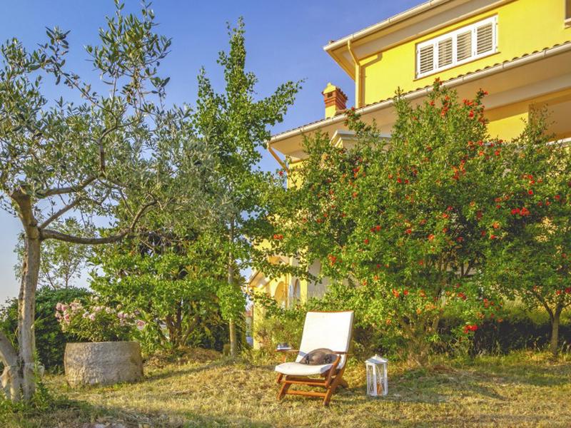 4DCD0F6F875CA9F367F3D65776ABC582