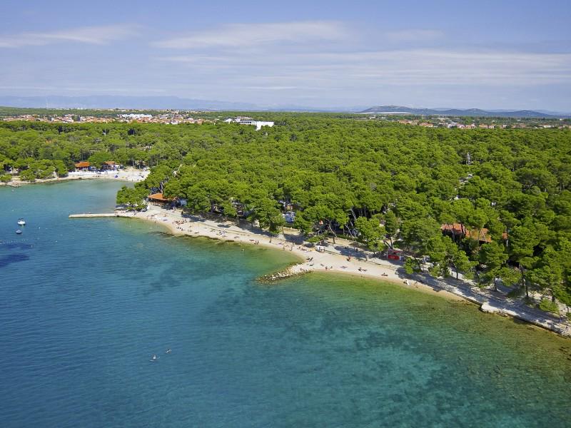 C10C915FD8E807C91F021DB608227B66